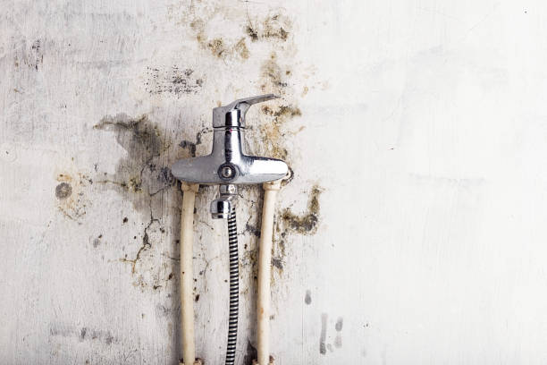 Mold Removal and Inspection in Lyman, SC