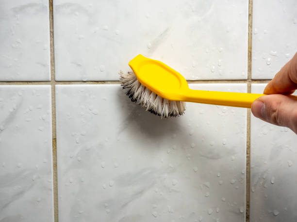 Best Home Mold Removal  in Lyman, SC